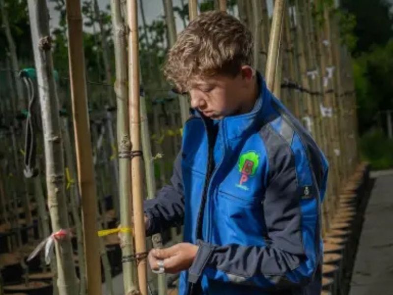 ontwerp-zonder-titel1