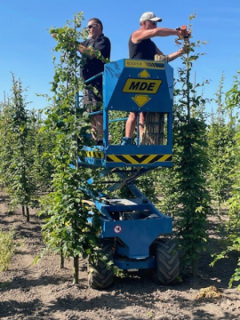 afbeelding-van-whatsapp-op-2025-06-20-om-14-42-31-4fc2f281